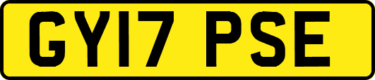 GY17PSE