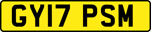 GY17PSM