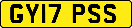 GY17PSS