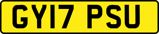 GY17PSU