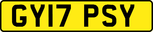 GY17PSY