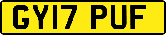 GY17PUF