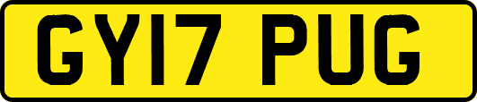 GY17PUG