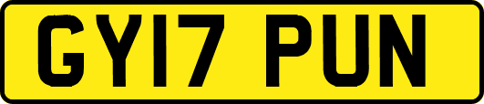 GY17PUN