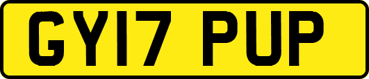 GY17PUP