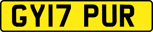 GY17PUR