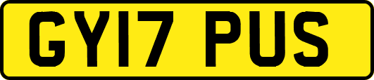 GY17PUS