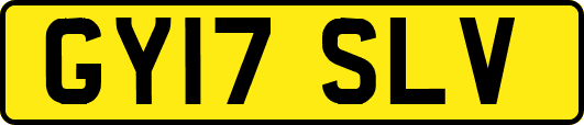 GY17SLV