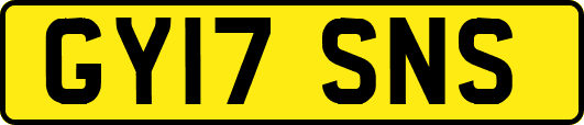 GY17SNS
