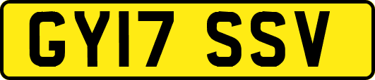 GY17SSV