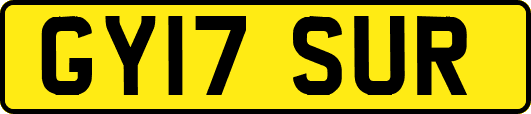 GY17SUR