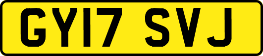 GY17SVJ