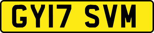 GY17SVM