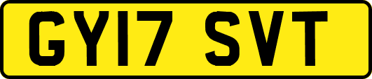 GY17SVT