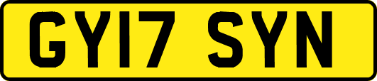 GY17SYN