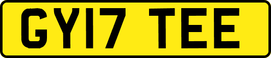 GY17TEE