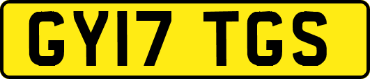 GY17TGS