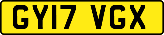 GY17VGX
