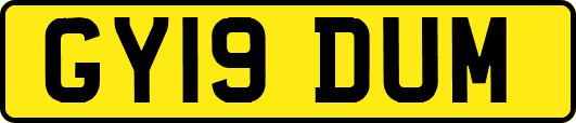 GY19DUM