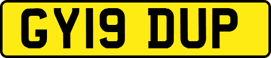GY19DUP