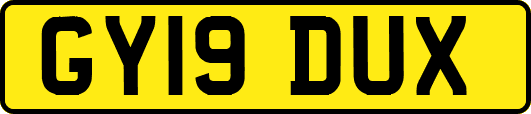 GY19DUX