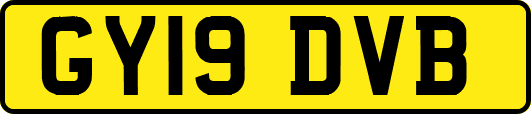 GY19DVB