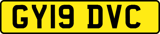 GY19DVC