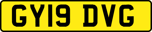 GY19DVG