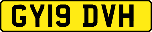 GY19DVH