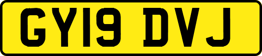 GY19DVJ