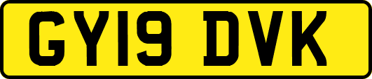 GY19DVK
