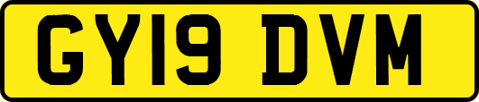 GY19DVM