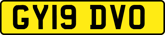 GY19DVO