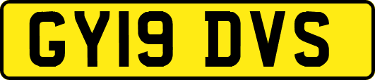 GY19DVS