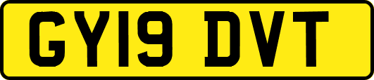 GY19DVT