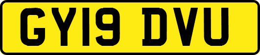 GY19DVU