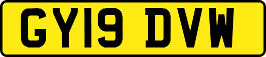 GY19DVW