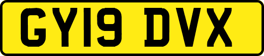 GY19DVX
