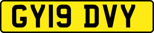 GY19DVY