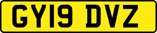 GY19DVZ