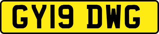 GY19DWG