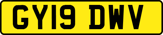 GY19DWV