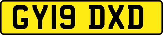 GY19DXD