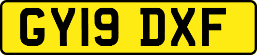 GY19DXF