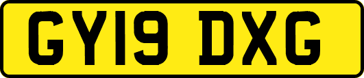 GY19DXG