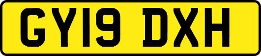 GY19DXH