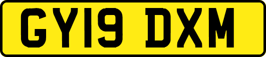 GY19DXM