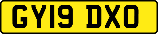 GY19DXO