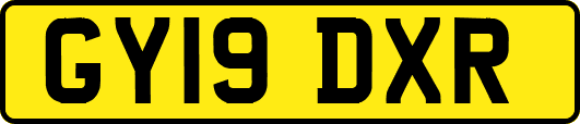 GY19DXR