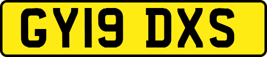 GY19DXS